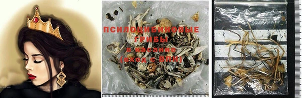 альфа пвп Армянск